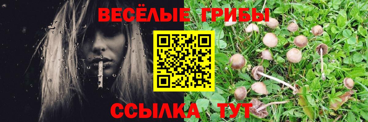 Псилоцибиновые грибы ЛСД  Вход с VPN  Псилоцибиновые грибы MAGIC MUSHROOMS  Магадан 