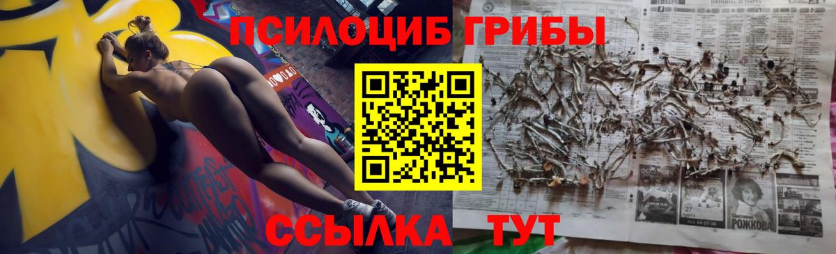 Псилоцибиновые грибы Magic Shrooms Магадан
